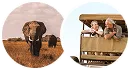 Customer horse riding experience