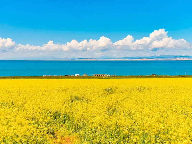 Northwest Grand Loop 6-Day Classic Tour | Qinghai & Gansu Panoramic Salt Lake & Silk Road Journey - Gansu 5