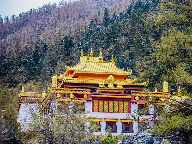 2026 [Jiuzhaigou & Gannan] Jiuzhaigou + Huanglong + Ruoergai + Zhagana + Yellow River First Bend + Mount Siguniang 7-Day Tour - Sichuan 3