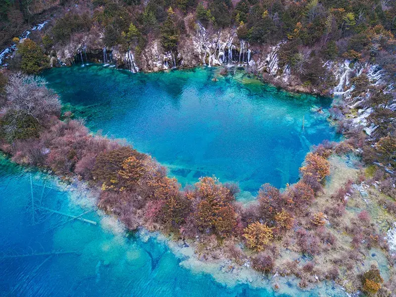 2026 [Fairyland Jiuzhaigou] Panda Valley / Dujiangyan + Jiuzhaigou + Huanglong 4-Day Tour - Sichuan 3