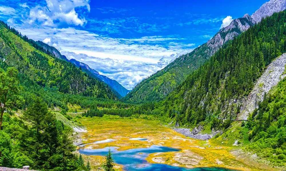 2026 [Jiuzhaigou Dream] Panda Park + Dujiangyan + Jiuzhaigou + Huanglong + Mount Siguniang 5-Day Tour - Sichuan 4