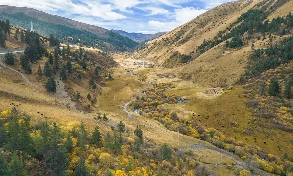 2026 [Genye Hidden Realm] Yuzixi + Genye Eye + Lenggu Temple + Litang + Xinduqiao Self-Drive Crossing 6-Day Tour - Sichuan 2