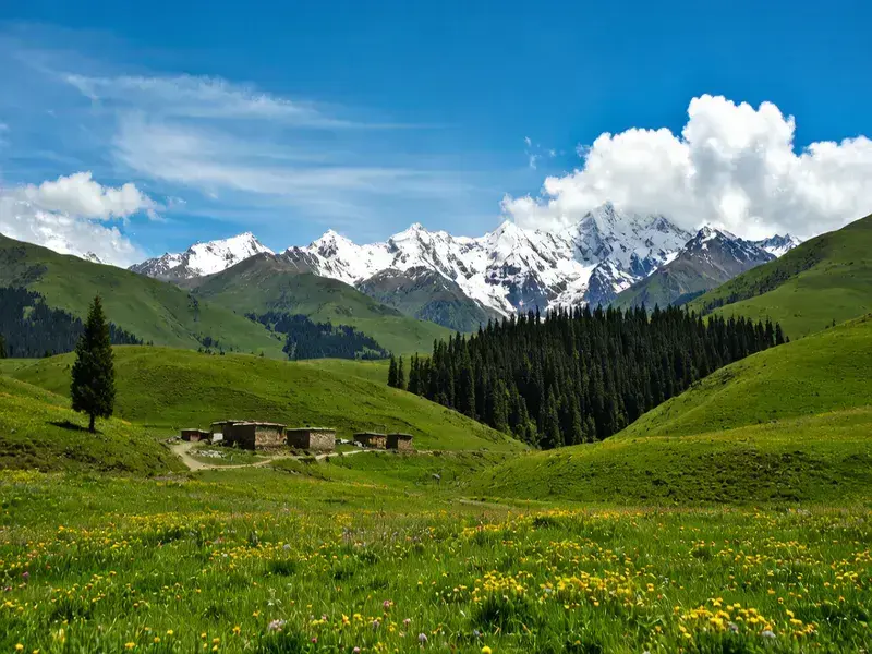 [2026 Tibet Classic] Lhasa + Nyingchi + Yarlung Tsangpo Grand Canyon + Basum Tso + Namtso Pure Travel 7-Day In-Depth Tour - Tibet 1