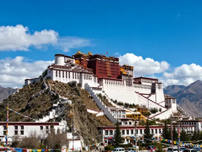 [2026 Snowland Epic] Lhasa + Nyingchi + Lulang Pasture + Grand Canyon + Basum Tso + Yamdrok Lake 7-Day (Most Popular Route)