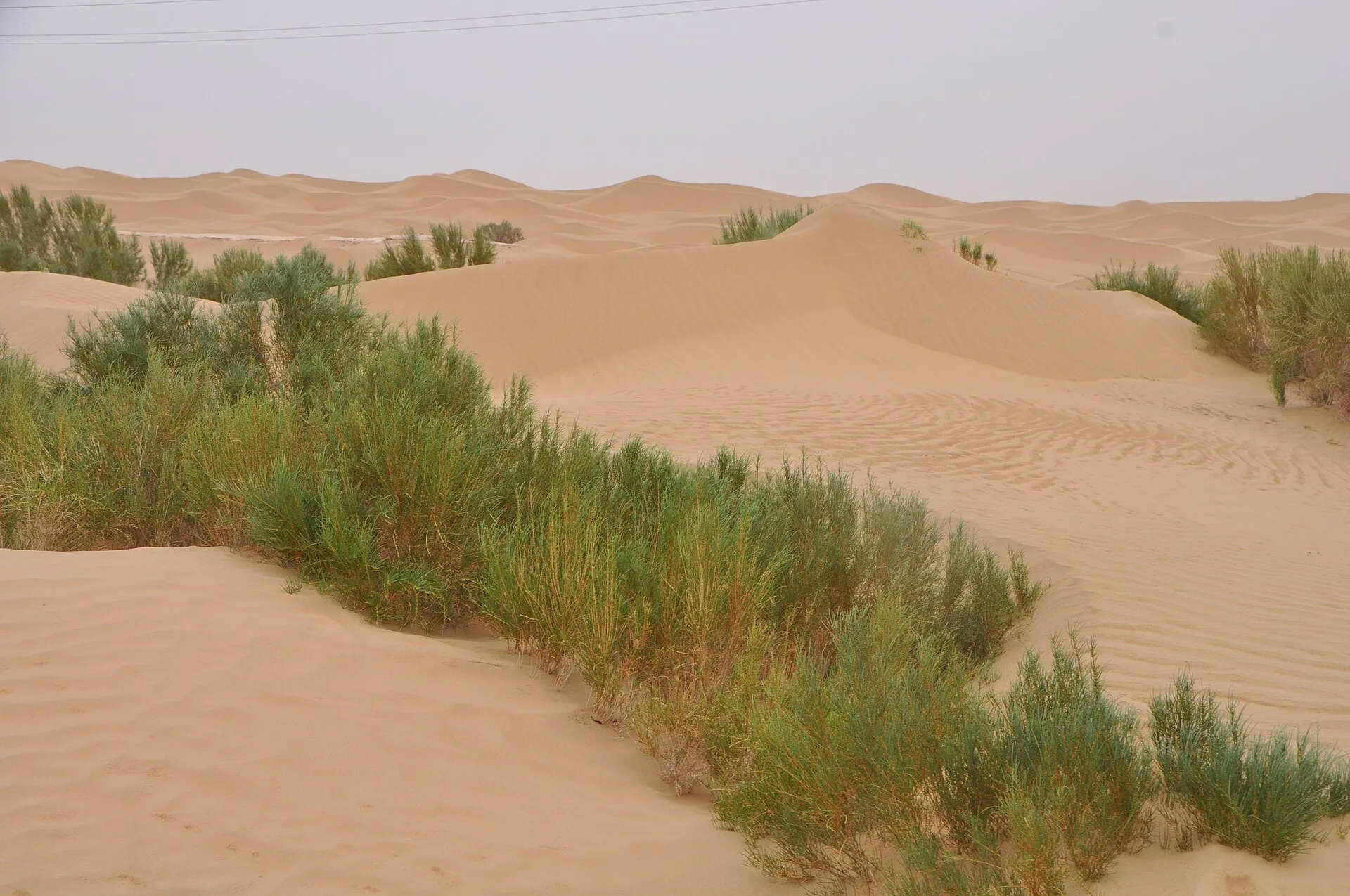2026 Pamir Autumn Route B | 7-Day 6-Night Private Tour from Kashgar, Snowy Peaks, Desert & Ancient Cities - Xinjiang 5