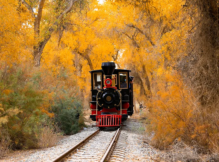 2026 Tarim Autumn Colors | 8-Day 7-Night Southern Xinjiang Small Group Tour, Urumqi to Kashgar - Xinjiang 1