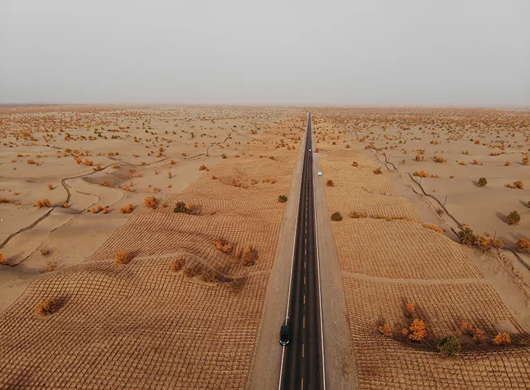 2026 Tarim Autumn Colors | 8-Day 7-Night Southern Xinjiang Small Group Tour, Urumqi to Kashgar - Xinjiang 3