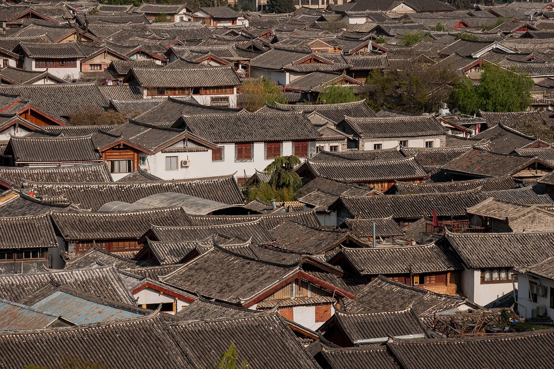 Shangri-La Snow Mountain Dream | 4 Days Small Group | Lijiang + Meili Snow Mountain + Songzanlin Monastery, 2-8 pax - Yunnan 6