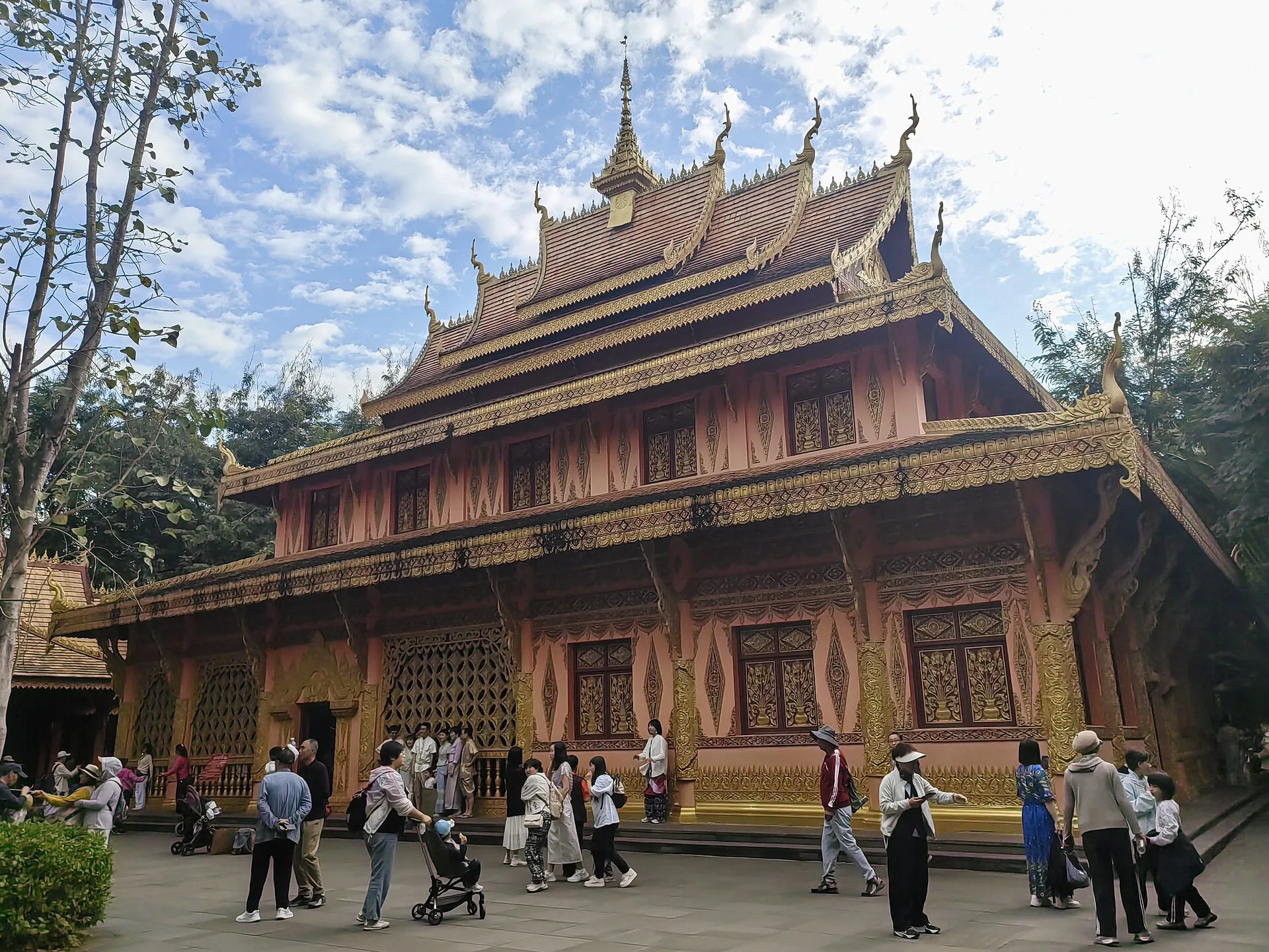 Rainforest Son: Pu'er Tea Journey+ | 6 Days Small Group | Pu'er + Menglian + Laodabao + Jingmai Mountain + Xishuangbanna, 2-8 pax - Yunnan 6