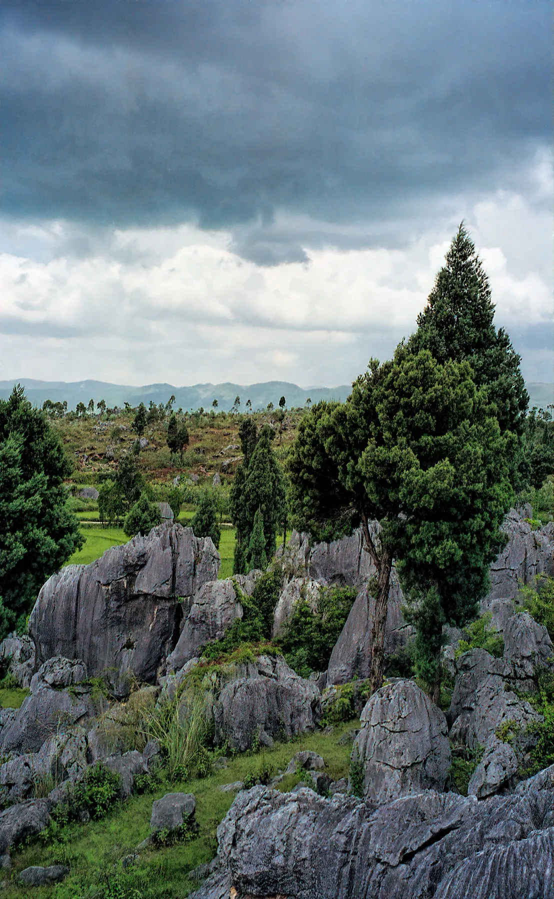East Yunnan Heritage | 5 Days Small Group | Kunming + Jianshui + Yuanyang Rice Terraces + Fuxian Lake, 2-12 pax - Yunnan 1
