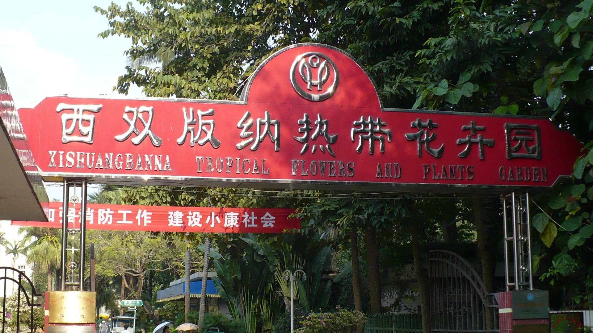 Rainforest Son: Pu'er Tea Journey+ | 6 Days Small Group | Pu'er + Menglian + Laodabao + Jingmai Mountain + Xishuangbanna, 2-8 pax - Yunnan 4