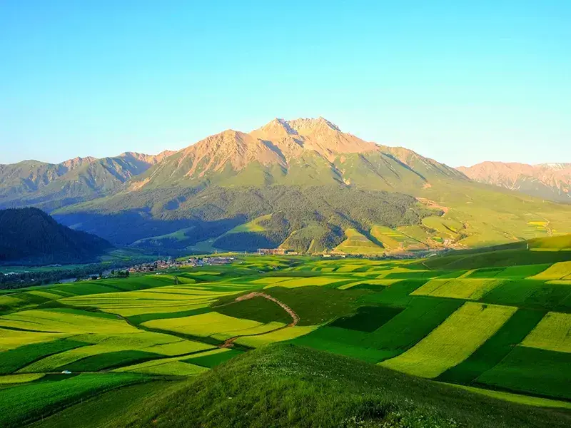 Qinghai's Real-Life 'Windows Desktop': Dream in Green on Qilian Grassland