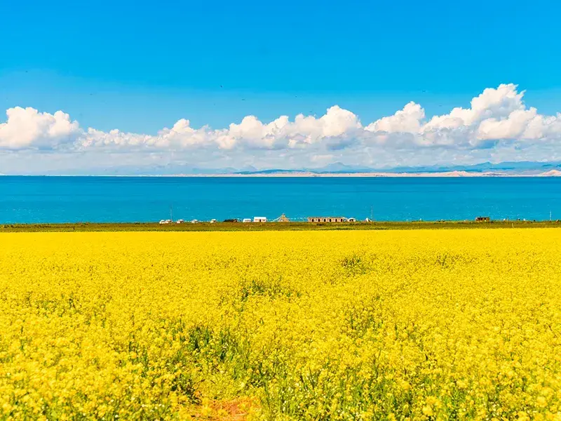 Listen Up Guide: First Time in Qinghai? Don't Do These 10 Things (With Pure Practical Anti-Scam Guide)