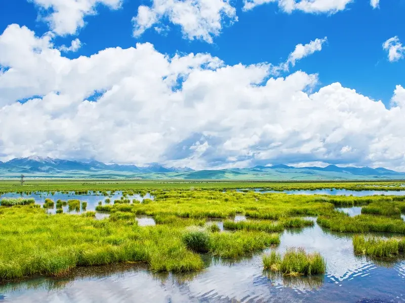 Ruoergai Grassland + Flower Lake Photography Guide: Western Sichuan's Best Summer Destination - Route Guides