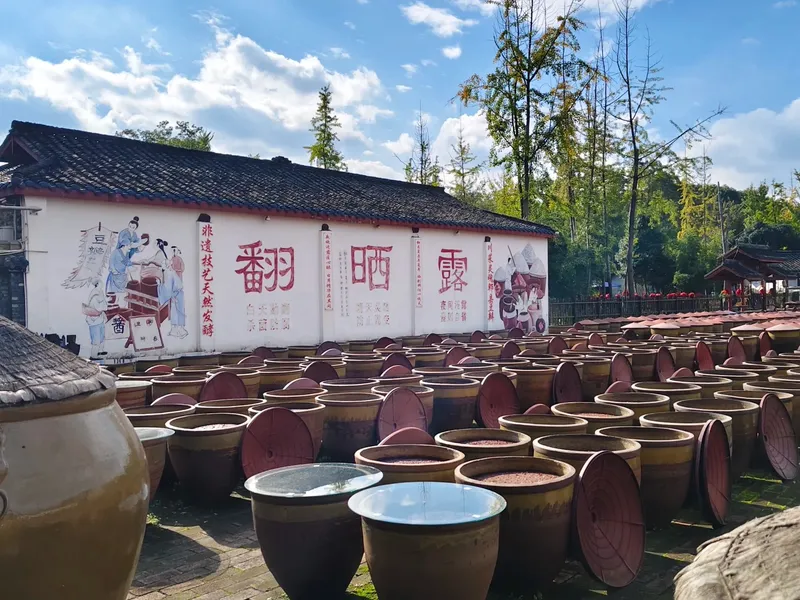How to Choose Pixian Douban (Broad Bean Paste)? (Grades + Uses) - Travel Tips