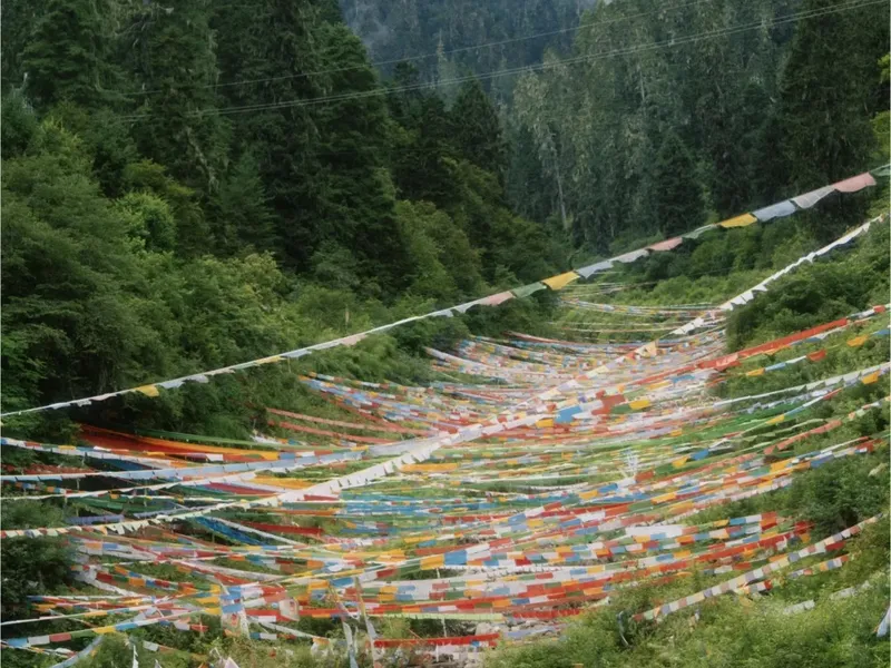 How to Get to Motuo? (After the Bomi-Motuo Road Opened)