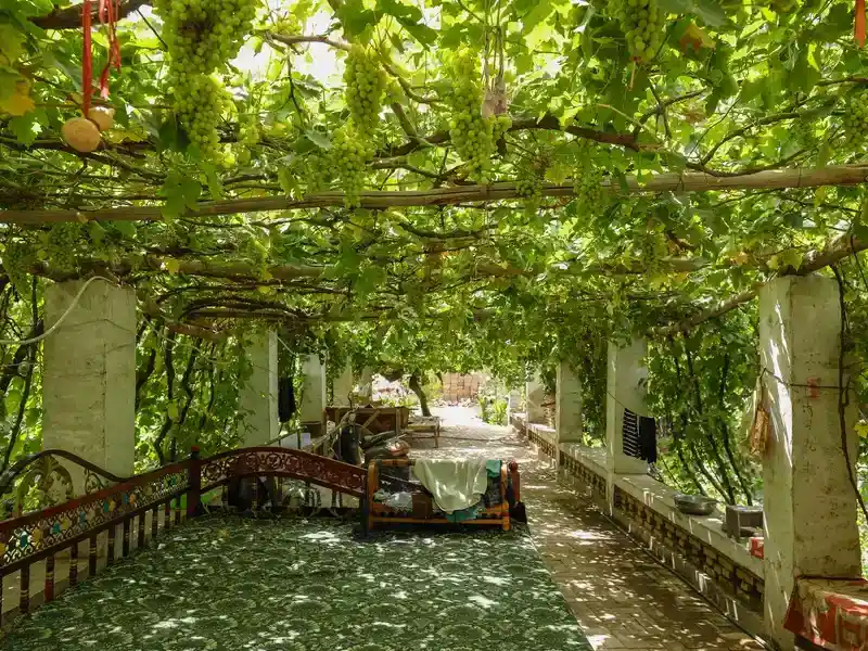 Turpan Flaming Mountain & Grape Valley Guide: How to Stay Cool in China's Hottest Place - Spot Guides