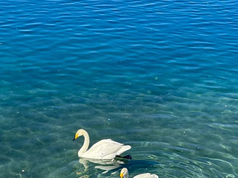 How Many Days for Sayram Lake? Complete 1-Day, 2-Day & 3-Day Itineraries - Travel Tips