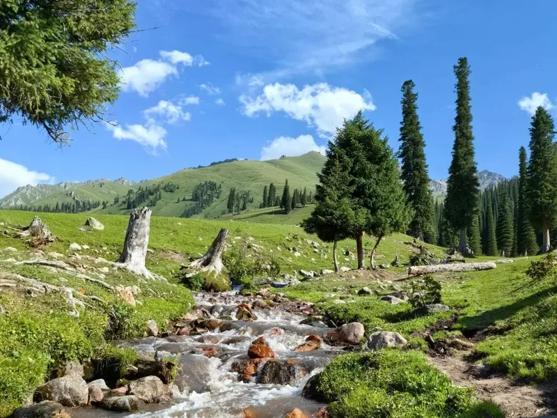 Northern Xinjiang Loop Road Trip: How to Plan a 10-Day Self-Drive Route (Kanas, Sayram Lake & Duku Highway) - Route Guides