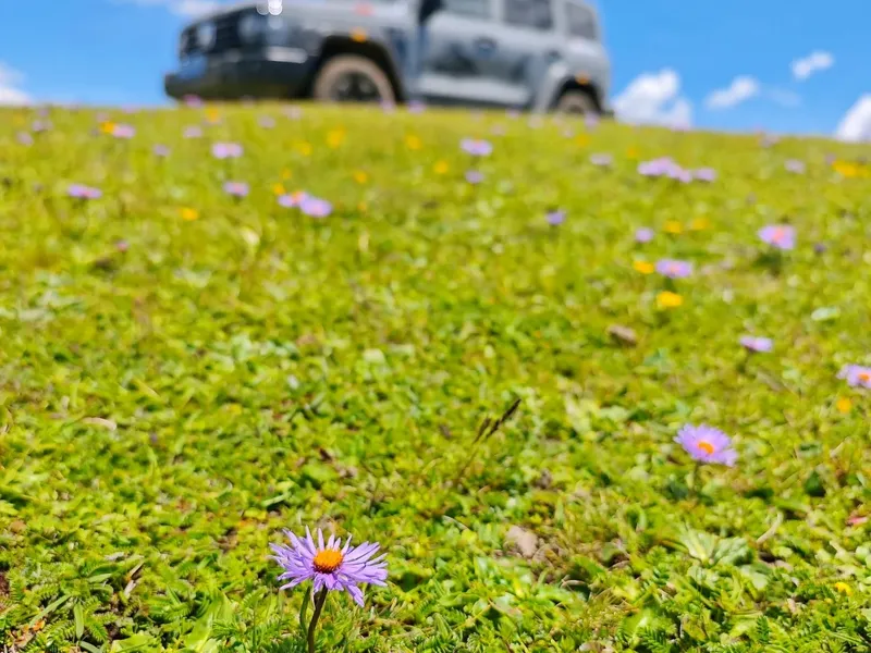 How to Enjoy Kalajun Grassland: Human-Body Grassland + Flower Platform + Falcon Platform - Spot Guides