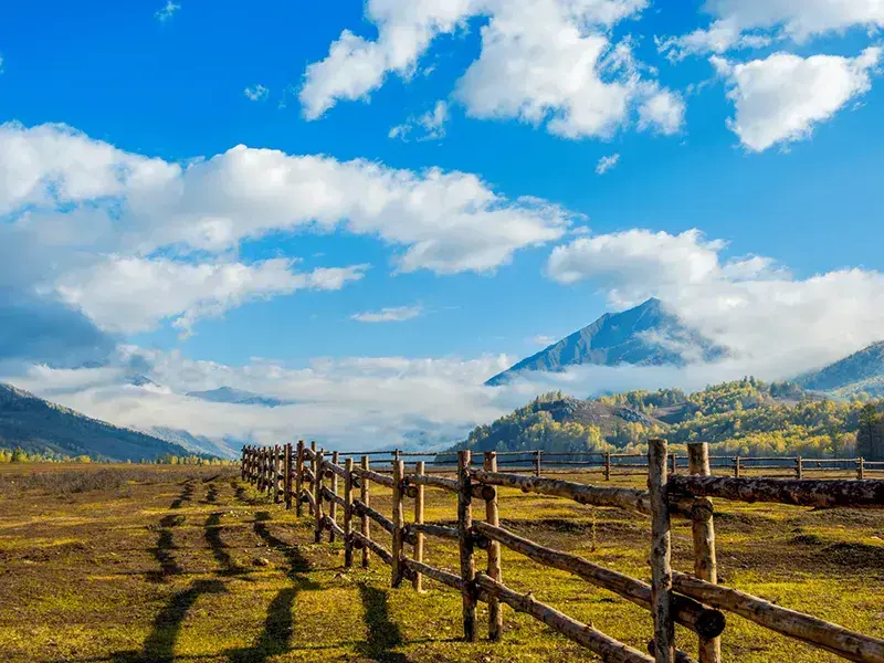What Must-See Spots & Travel Agencies Does Xinjiang Have? A Veteran's Anti-Scam Deep Off-Road Guide