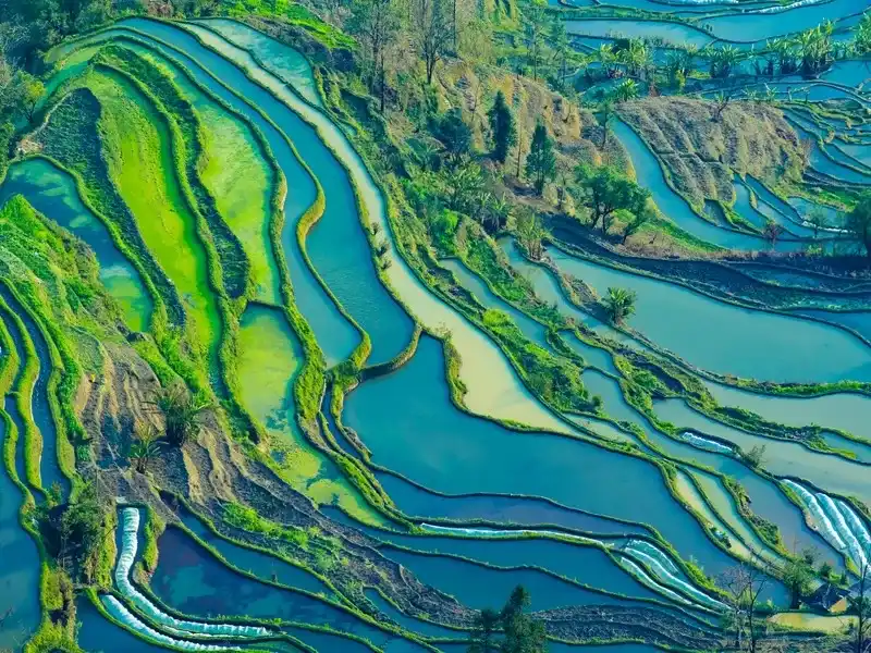 Yuanyang Rice Terraces Complete Guide: 1,300 Years of Hani People Carving a World Heritage - Spot Guides