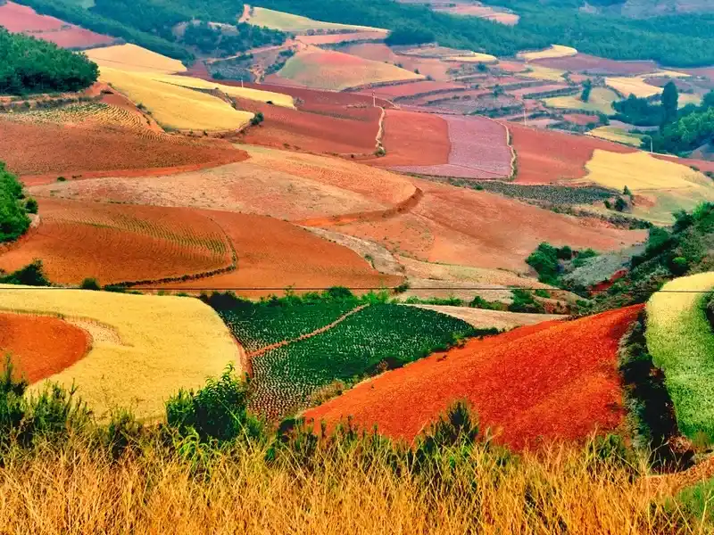 Luoping Rapeseed + Dongchuan Red Land Photography Guide: Yunnan's Two Visual Feasts - Spot Guides